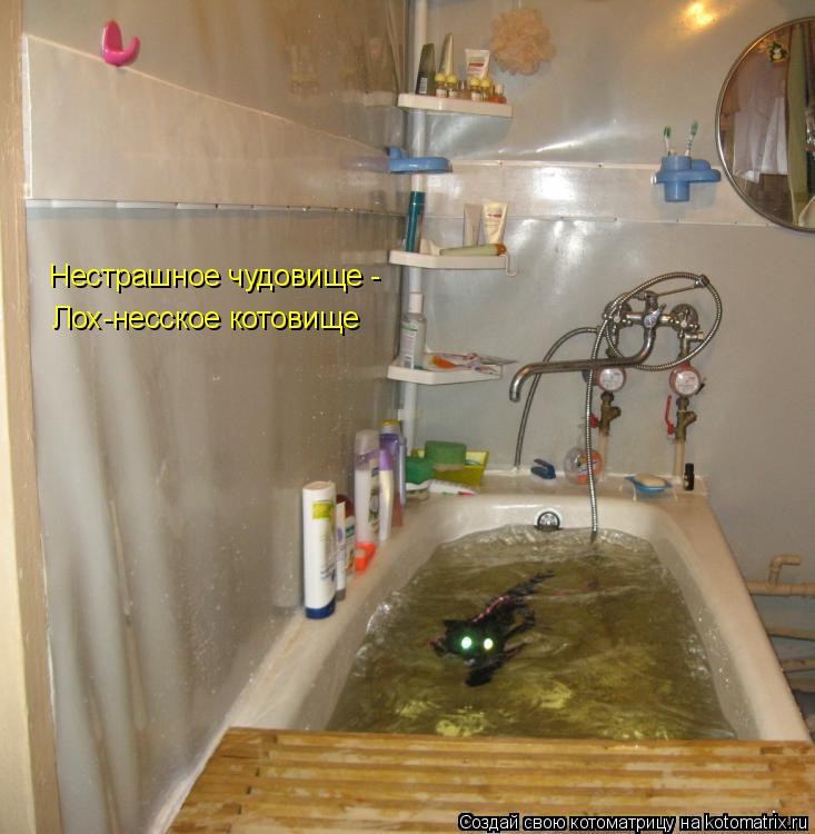 Котоматрица: Нестрашное чудовище - Лох-несское котовище