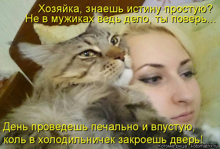 Котоматрица: Хозяйка, знаешь истину простую? Не в мужиках ведь дело, ты поверь... День проведешь печально и впустую,  коль в холодильничек закроешь дверь!