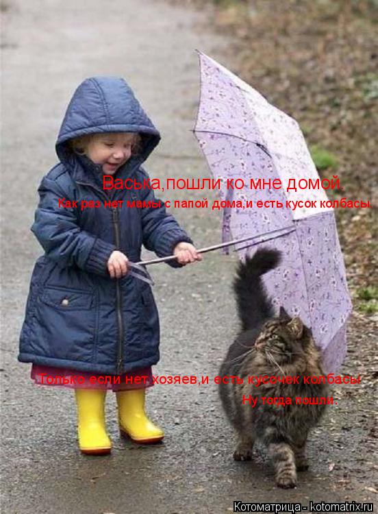Котоматрица: Васька,пошли ко мне домой. Только если нет хозяев,и есть кусочек колбасы Как раз нет мамы с папой дома,и есть кусок колбасы. Ну тогда пошли.