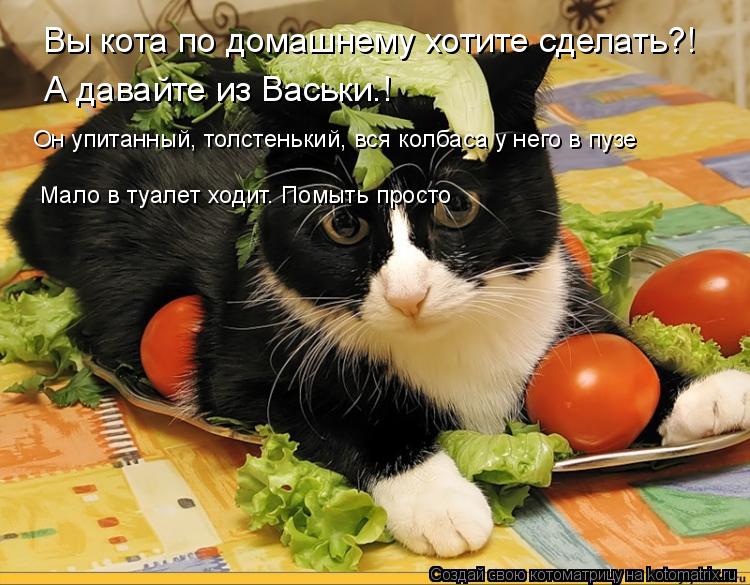 Котоматрица: Вы кота по домашнему хотите сделать?! А давайте из Васьки.! Он упитанный, толстенький, вся колбаса у него в пузе Мало в туалет ходит. Помыть пр