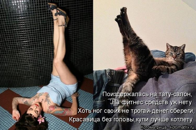 Котоматрица: Хоть ног своих не трогай-денег сбереги, Красавица без головы,купи лучше котлету На фитнес средств уж нету Поиздержалась на тату-салон,