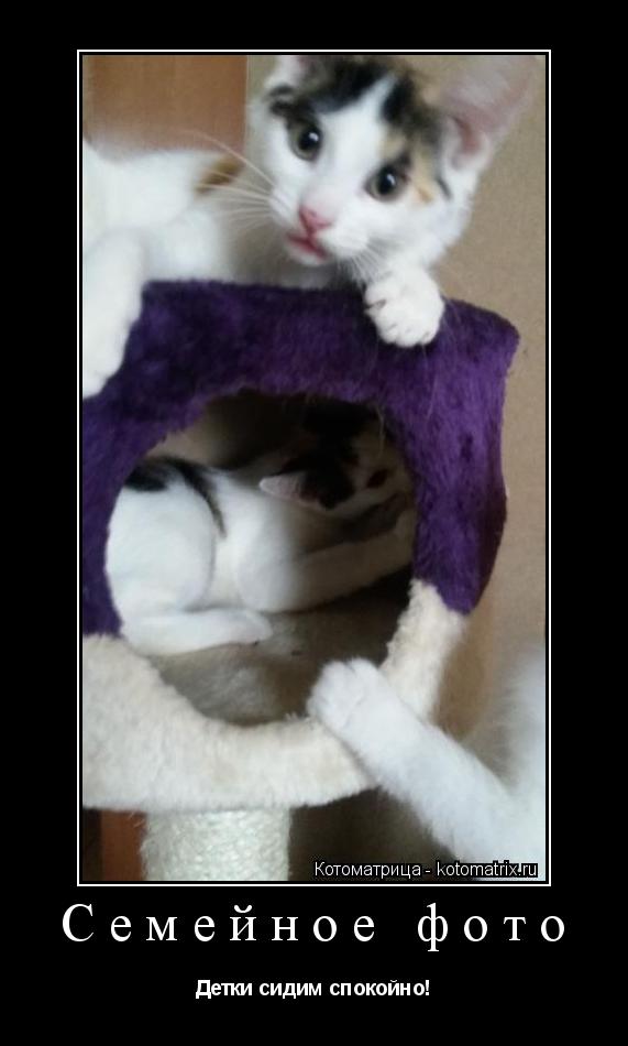 Котоматрица: Семейное фото Детки сидим спокойно!