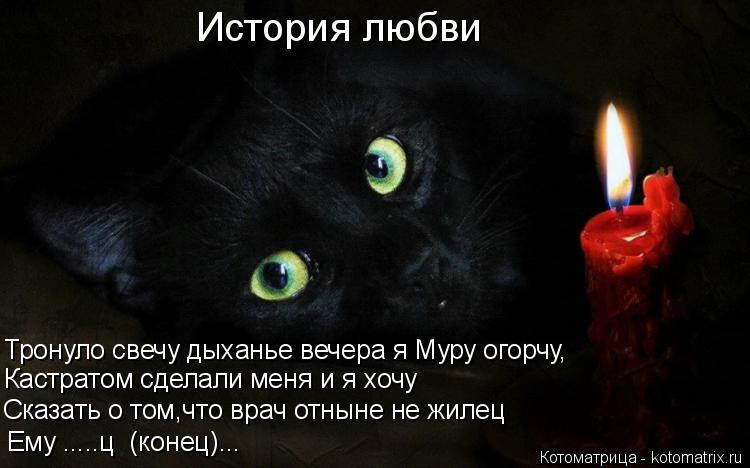 Котоматрица: Ему .....ц  (конец)... Сказать о том,что врач отныне не жилец Кастратом сделали меня и я хочу Тронуло свечу дыханье вечера я Муру огорчу, История 