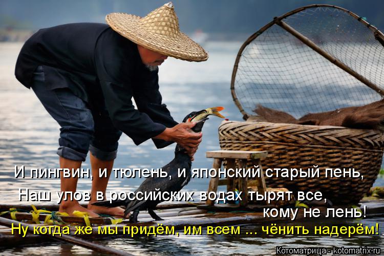 Котоматрица: И пингвин, и тюлень, и японский старый пень, Наш улов в российских водах тырят все,  кому не лень! Ну когда же мы придём, им всем ... чёнить надер