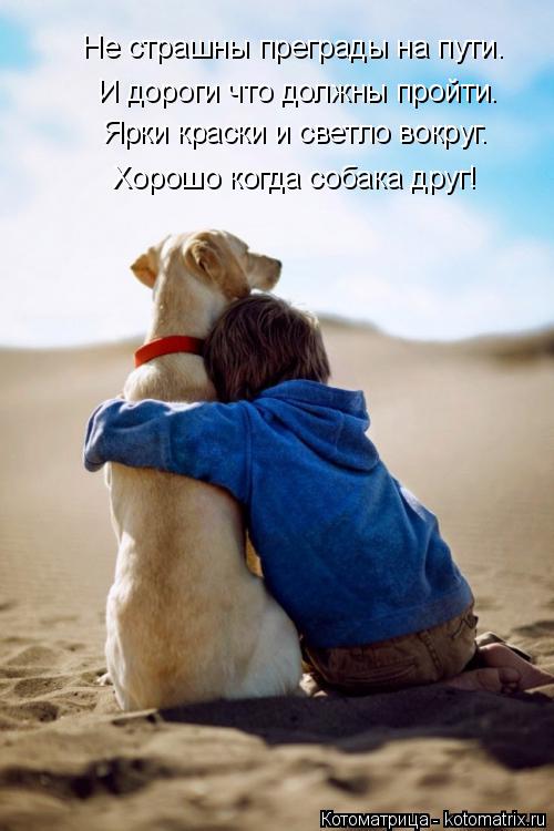 Котоматрица: Хорошо когда собака друг! Ярки краски и светло вокруг. Не страшны преграды на пути. И дороги что должны пройти.