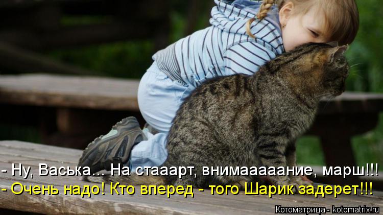 Котоматрица: - Ну, Васька... На стааарт, внимааааание, марш!!! - Очень надо! Кто вперед - того Шарик задерет!!!