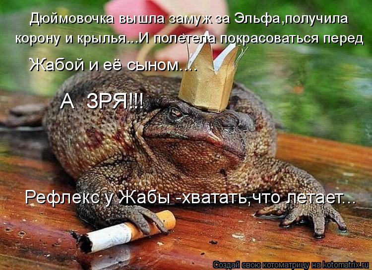 Котоматрица: Дюймовочка вышла замуж за Эльфа,получила  корону и крылья...И полетела покрасоваться перед Жабой и её сыном.... А  ЗРЯ!!! Рефлекс у Жабы -хватат