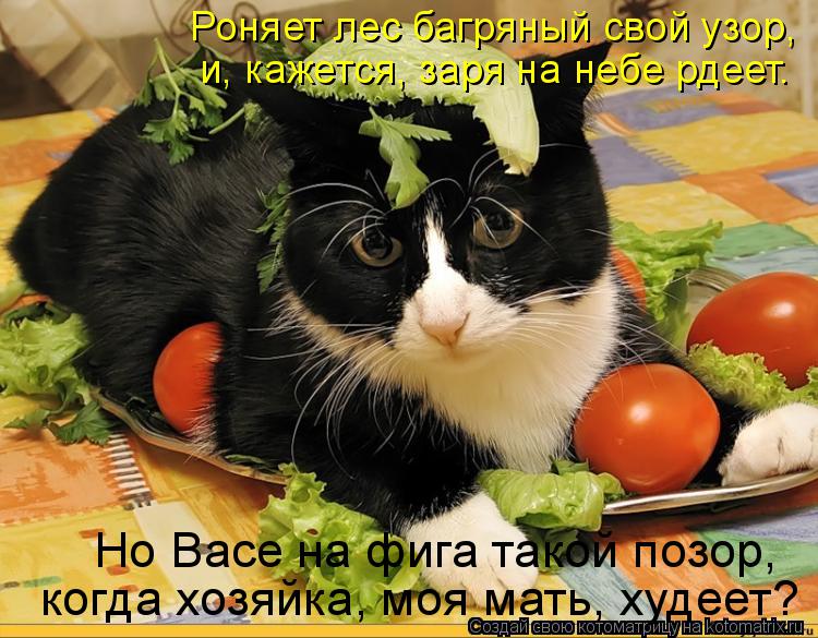 Котоматрица: Роняет лес багряный свой узор,  и, кажется, заря на небе рдеет.  Но Васе на фига такой позор,  когда хозяйка, моя мать, худеет?