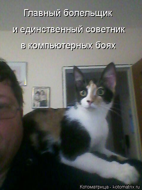 Котоматрица: Главный болельщик в компьютерных боях и единственный советник