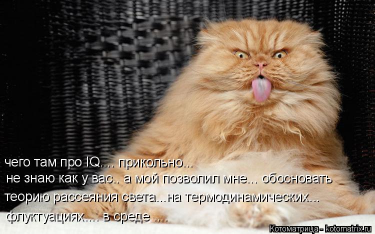 Котоматрица: чего там про IQ.... прикольно...  не знаю как у вас.. а мой позволил мне... обосновать теорию рассеяния света...на термодинамических... флуктуациях.