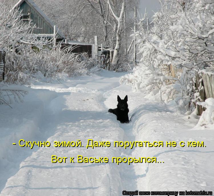 Котоматрица: - Скучно зимой. Даже поругаться не с кем. Вот к Ваське прорылся...