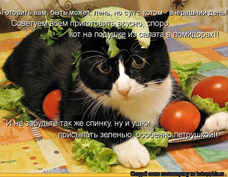 Котоматрица: Готовить вам, быть может, лень, но суп с котом - вчерашний день!! Советуем всем приготовить вкусно, споро: кот на подушке из салата в помидорах