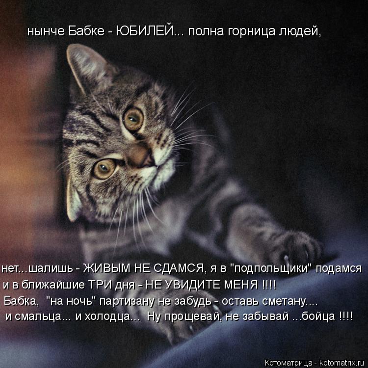 нынче Бабке - ЮБИЛЕЙ... полна горница людей, нет...шалишь - ЖИВЫМ НЕ СДАМСЯ, я в "подпольщики" подамс... Котоматрица: нынче Бабке - ЮБИЛЕЙ... полна горница людей, нет...шалишь - ЖИВЫМ НЕ СДАМСЯ, я в "подпольщики" подамся и в ближайшие ТРИ дня - НЕ УВИДИТЕ МЕНЯ !!!! Б