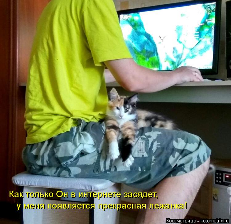 Котоматрица: у меня появляется прекрасная лежанка! Как только Он в интернете засядет,