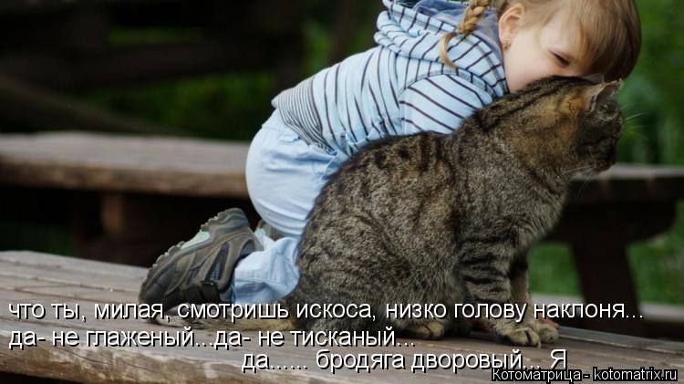 что ты, милая, смотришь искоса, низко голову наклоня... да- не глаженый...да- не тисканый... да........ Котоматрица: что ты, милая, смотришь искоса, низко голову наклоня... да- не глаженый...да- не тисканый... да...... бродяга дворовый... Я