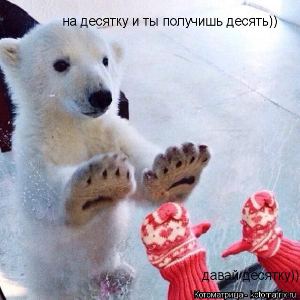 Котоматрица: давай десятку)) на десятку и ты получишь десять))