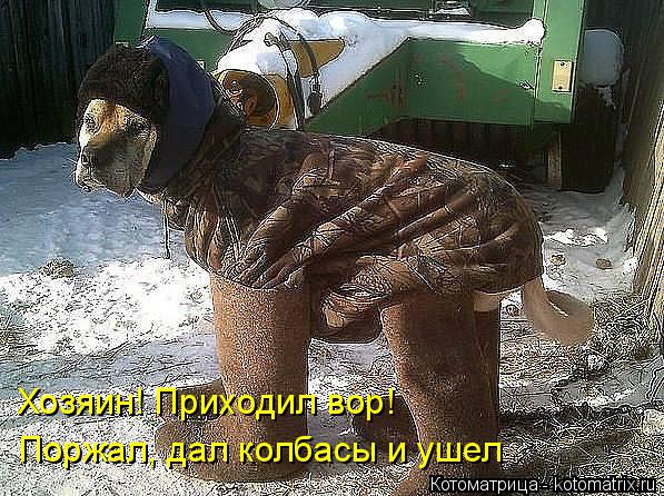 Котоматрица: Хозяин! Приходил вор! Поржал, дал колбасы и ушел