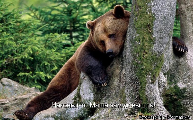 Котоматрица: Наконец-то Маша замуж вышла!