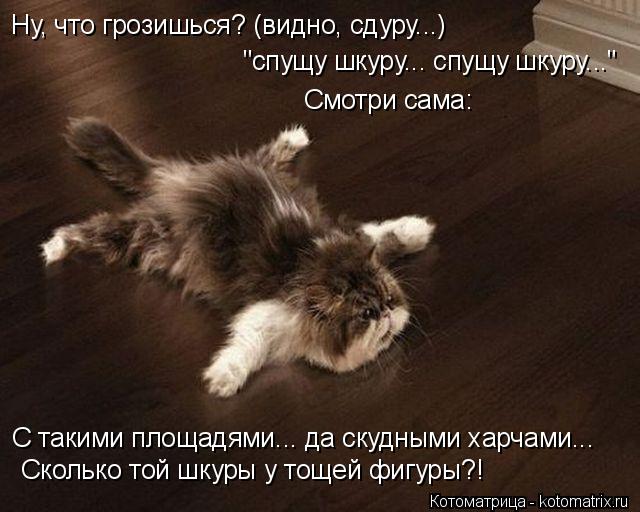 Котоматрица: Смотри сама: Ну, что грозишься? (видно, сдуру...)   "спущу шкуру... спущу шкуру..." С такими площадями... да скудными харчами... Сколько той шкуры у т