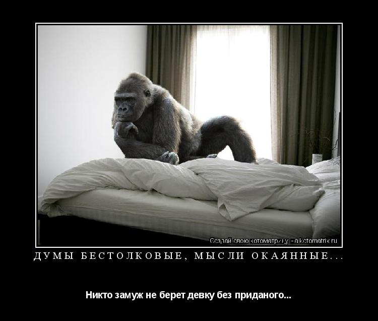 Котоматрица: ДУМЫ БЕСТОЛКОВЫЕ, МЫСЛИ ОКАЯННЫЕ... Никто замуж не берет девку без приданого...