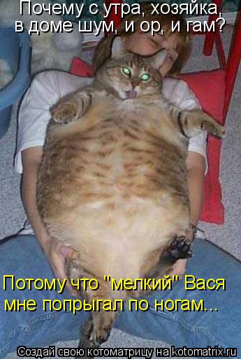 Котоматрица: Почему с утра, хозяйка,  в доме шум, и ор, и гам? Потому что "мелкий" Вася  мне попрыгал по ногам...