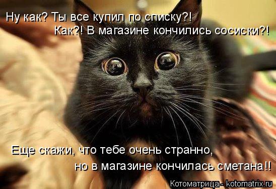 Котоматрица: Ну как? Ты все купил по списку?! Как?! В магазине кончились сосиски?! Еще скажи, что тебе очень странно, но в магазине кончилась сметана!!