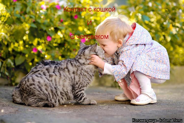Котоматрица: Контакт с кошкой И  С человеком