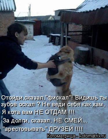Котоматрица: Отойди,сказал,"фискал"! Видишь ты зубов оскал ? Не веди себя как хам, Я кота вам НЕ ОТДАМ !!! За долги, сказал, НЕ СМЕЙ... "арестовывать" ДРУЗЕЙ !!!!