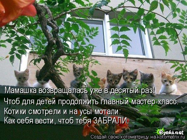 Котоматрица: Мамашка возвращалась уже в десятый раз! Чтоб для детей продолжить главный мастер-класс. Котики смотрели и на усы мотали: Как себя вести, что