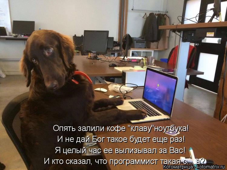 Котоматрица: Опять залили кофе "клаву"ноутбука! И кто сказал, что программист такая с....а? И не дай Бог такое будет еще раз! Я целый час ее вылизывал за Вас!