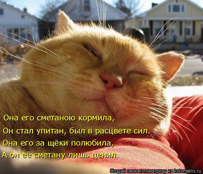 Она его сметаною кормила, Он стал упитан, был в расцвете сил. Она его за щёки полюбила, А он её смета... Котоматрица: Она его сметаною кормила, Он стал упитан, был в расцвете сил. Она его за щёки полюбила, А он её сметану лишь ценил.