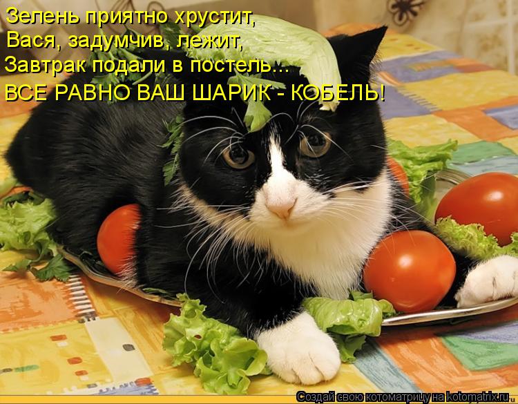 Котоматрица: Зелень приятно хрустит, Вася, задумчив, лежит, Завтрак подали в постель... ВСЕ РАВНО ВАШ ШАРИК - КОБЕЛЬ!