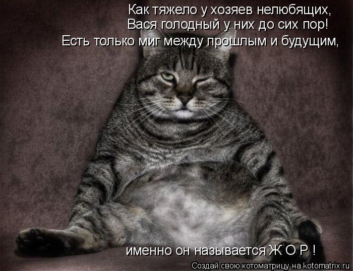 Котоматрица: Есть только миг между прошлым и будущим,  именно он называется Ж О Р ! Как тяжело у хозяев нелюбящих, Вася голодный у них до сих пор!
