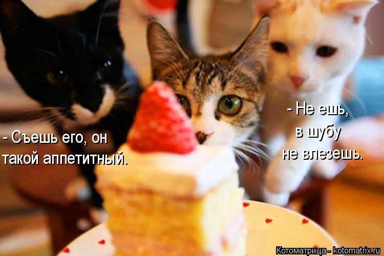 Котоматрица: - Съешь его, он такой аппетитный. - Не ешь, в шубу не влезешь.