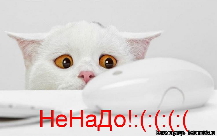 Котоматрица: НеНаДо!:(:(:(:(