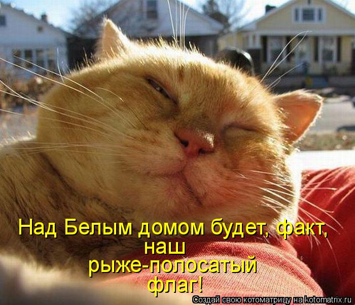 Котоматрица: Над Белым домом будет, факт, наш  рыже-полосатый  флаг!