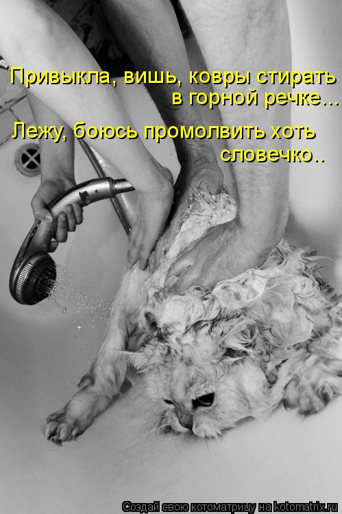 Котоматрица: Привыкла, вишь, ковры стирать в горной речке... Лежу, боюсь промолвить хоть словечко..