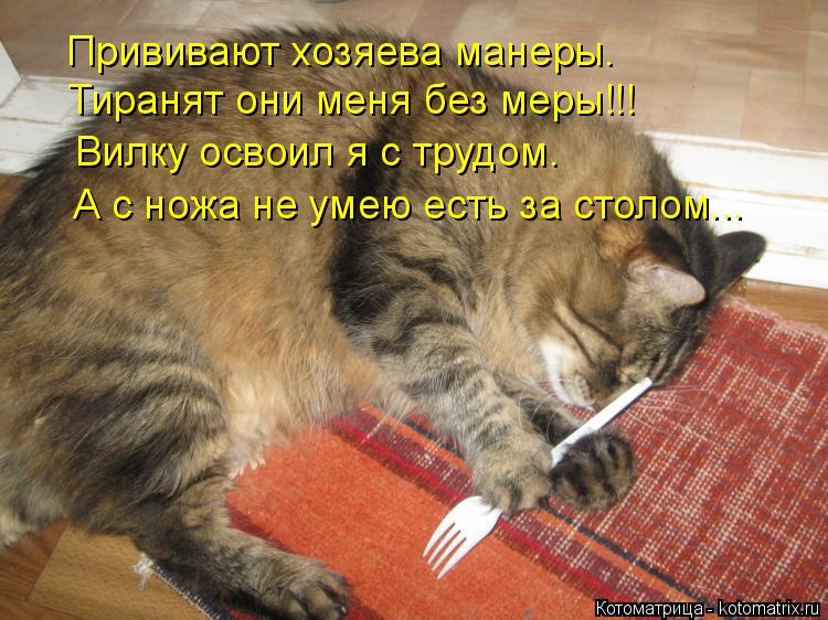 Котоматрица: Прививают хозяева манеры. Тиранят они меня без меры!!! Вилку освоил я с трудом. А с ножа не умею есть за столом...