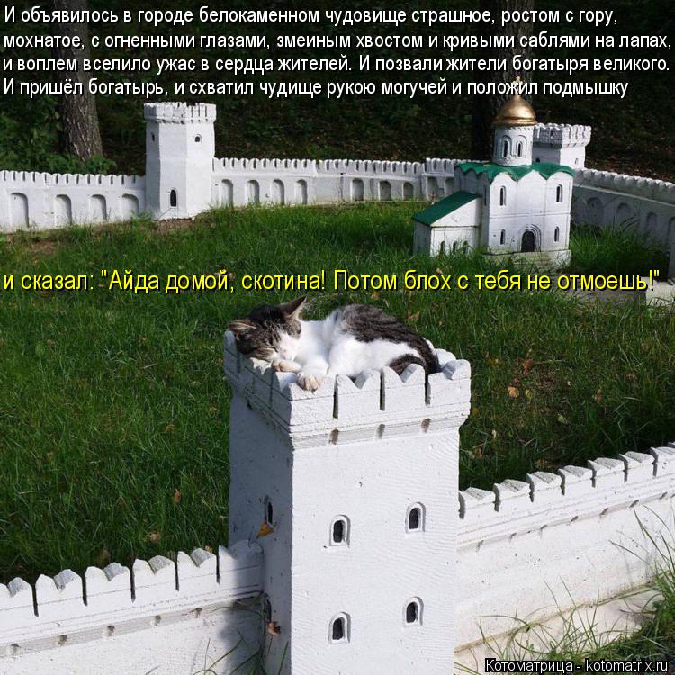 И объявилось в городе белокаменном чудовище страшное, ростом с гору, мохнатое, с огненными глазами, з... Котоматрица: И объявилось в городе белокаменном чудовище страшное, ростом с гору, мохнатое, с огненными глазами, змеиным хвостом и кривыми саблями на ла