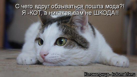 Котоматрица: С чего вдруг обзываться пошла мода?! Я -КОТ, а никакая вам не ШКОДА!!