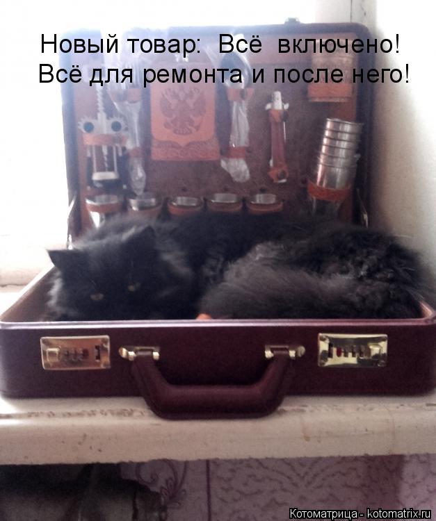 Котоматрица: Новый товар:  Всё  включено!  Всё для ремонта и после него!