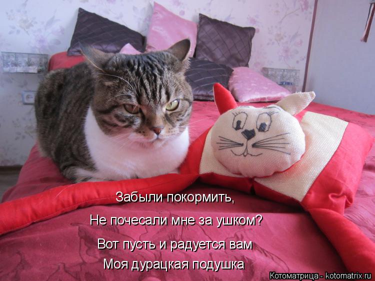 Котоматрица: Забыли покормить, Не почесали мне за ушком? Вот пусть и радуется вам Моя дурацкая подушка