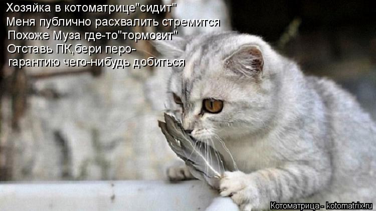 Котоматрица: Хозяйка в котоматрице"сидит" Меня публично расхвалить стремится       Похоже Муза где-то"тормозит"    Отставь ПК,бери перо- гарантию чего-нибуд