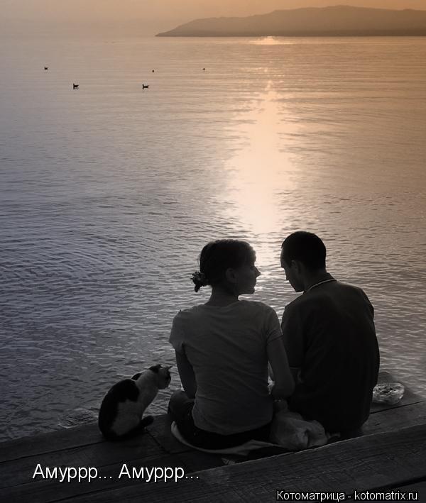 Котоматрица: Амуррр... Амуррр...