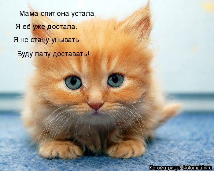 Котоматрица: Я её уже достала. Я не стану унывать Буду папу доставать! Мама спит,она устала,