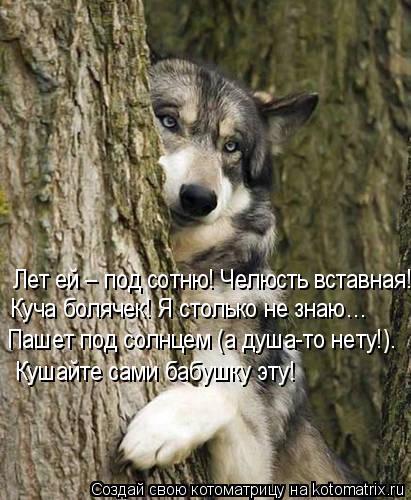 Лет ей – под сотню! Челюсть вставная! Куча болячек! Я столько не знаю… Пашет под солнцем (а душа-то н... Котоматрица: Лет ей – под сотню! Челюсть вставная! Куча болячек! Я столько не знаю… Пашет под солнцем (а душа-то нету!). Кушайте сами бабушку эту!