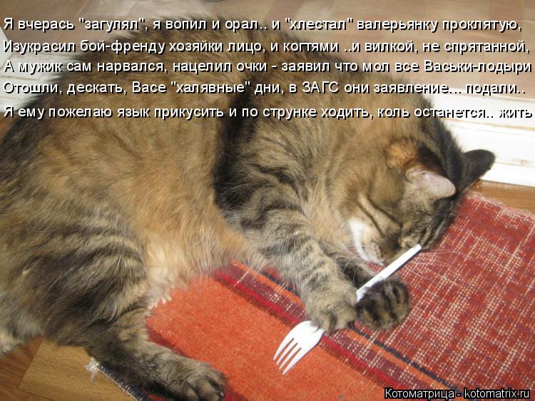 Котоматрица: Я вчерась "загулял", я вопил и орал.. и "хлестал" валерьянку проклятую, А мужик сам нарвался, нацелил очки - заявил что мол все Васьки-лодыри От