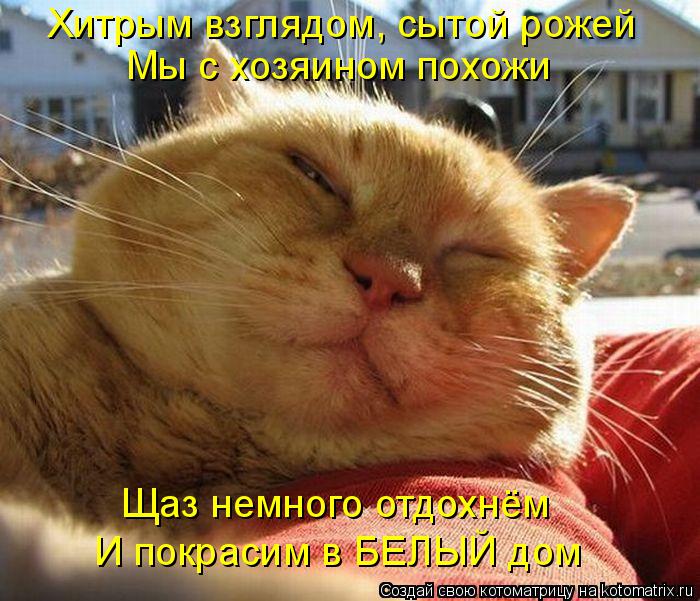 Котоматрица: Хитрым взглядом, сытой рожей Мы с хозяином похожи Щаз немного отдохнём И покрасим в БЕЛЫЙ дом