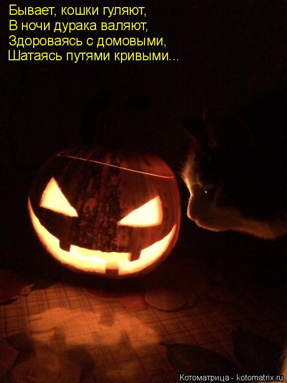 Котоматрица: Бывает, кошки гуляют,  Бывает, кошки гуляют,  В ночи дурака валяют,  Здороваясь с домовыми,  Шатаясь путями кривыми...