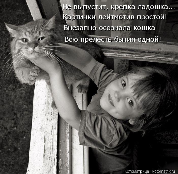 Котоматрица: Не выпустит, крепка ладошка... Картинки лейтмотив простой! Внезапно осознала кошка Всю прелесть бытия одной!